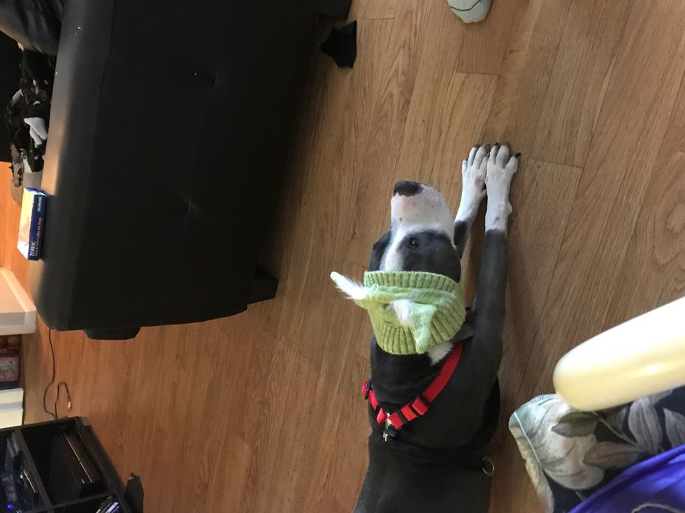 Lilly wearing a Yoda hat I bought her