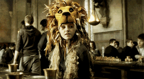Luna wears a lion head