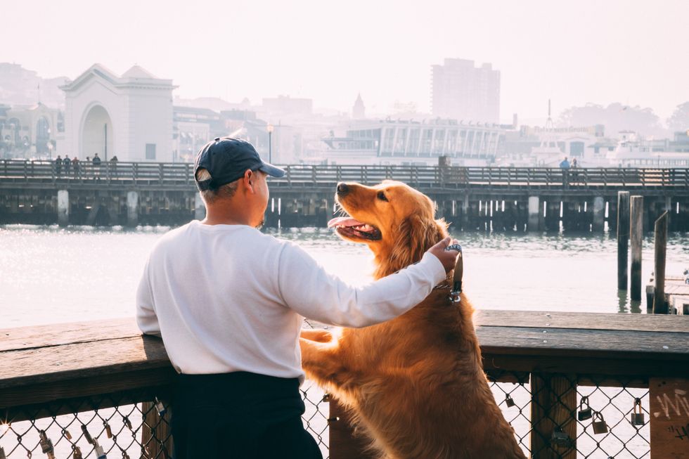 Man and golden retriever overlooking water and a bridge