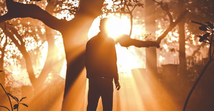 Man standing near tree
