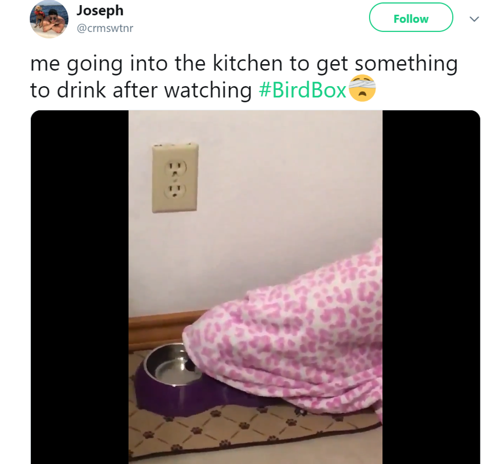 me going to get something to drink after watching #BirdBox