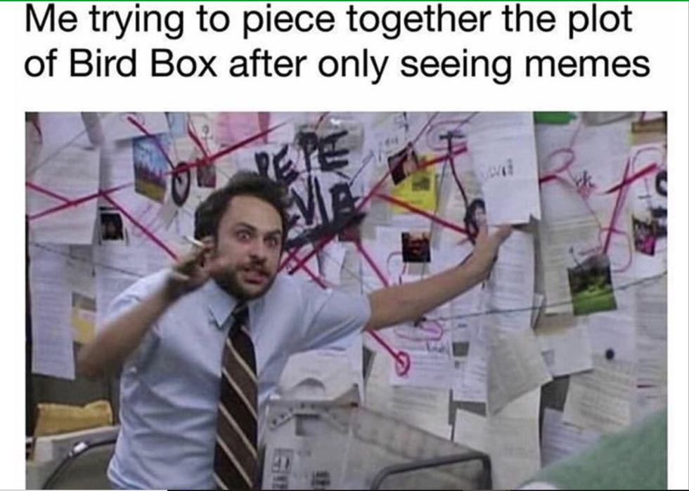 Me trying to piece together the plot of Bird Box after only seeing memes.