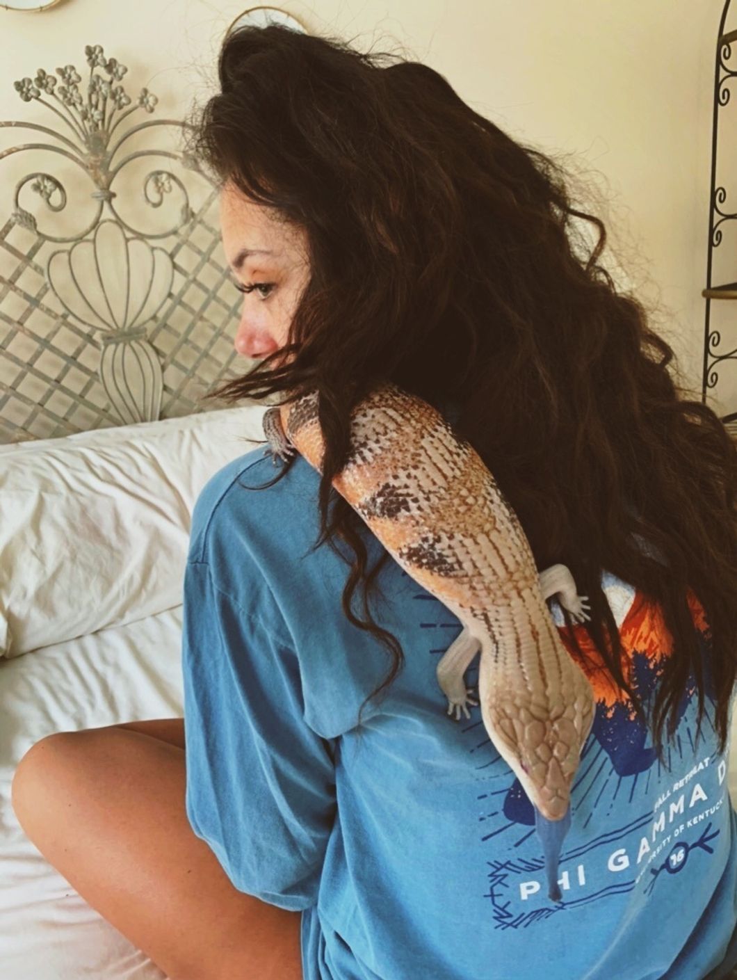 Exotic Pets Can Be The Perfect Man's Best Friend