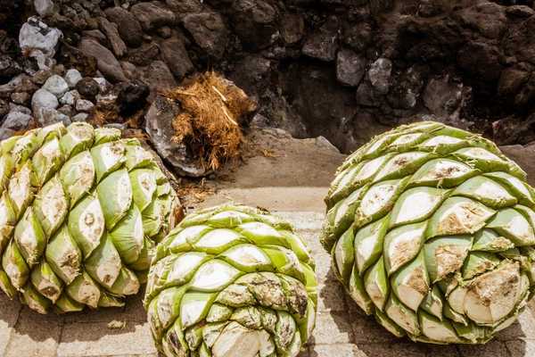 Mezcal Made