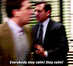 Michael Scott GIF