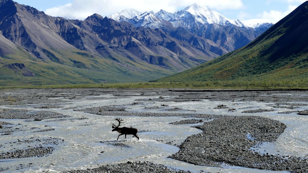 The Ultimate Adventure Escape: Visit Alaska