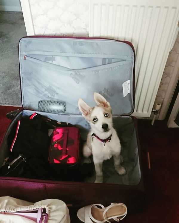 Moving