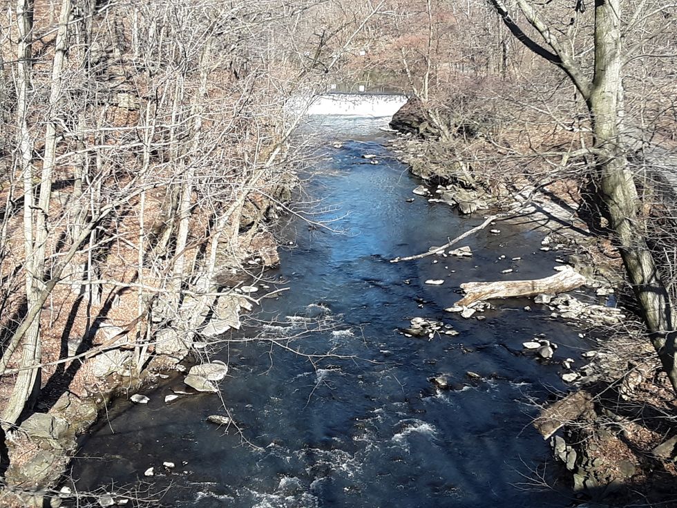 Lent And The Coming Of Spring