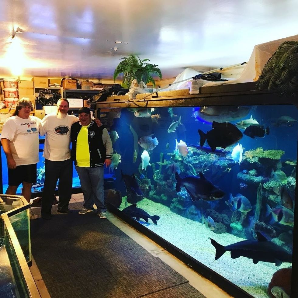 Do Not Buy Exotic Fish