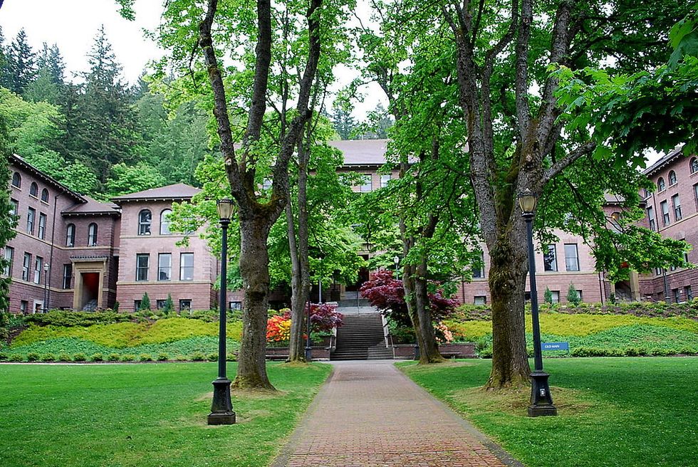 A Reflection On My First Year Of University