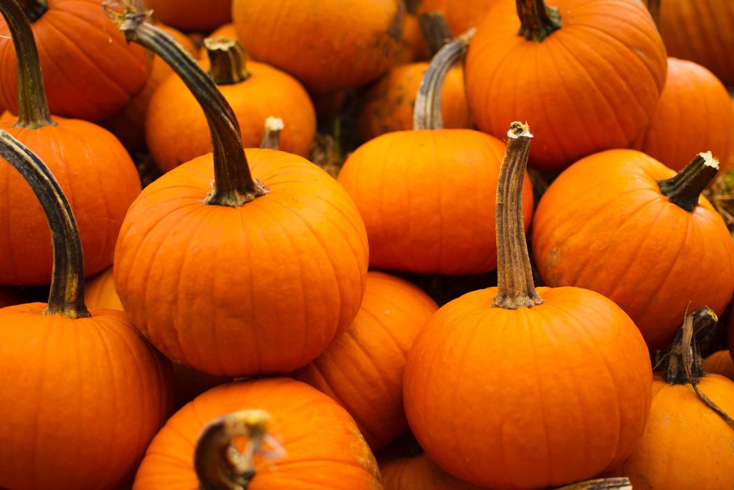 4 Simple And Sweet Pumpkin Treats For All The Pumpkin Lovers Out There