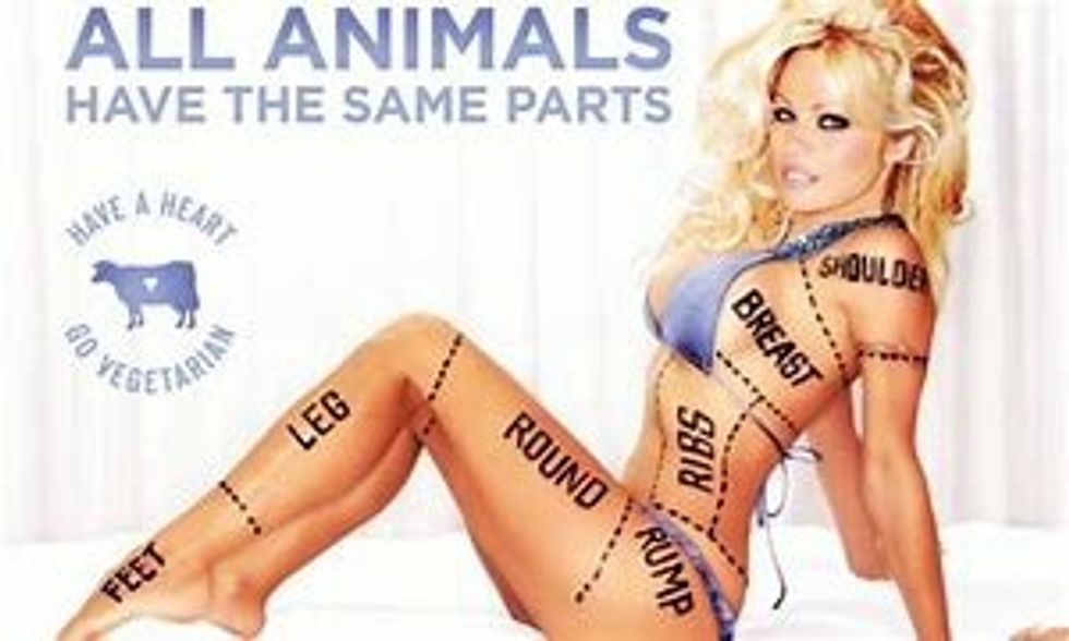 Pamela Anderson and the Anti Fur Campaign