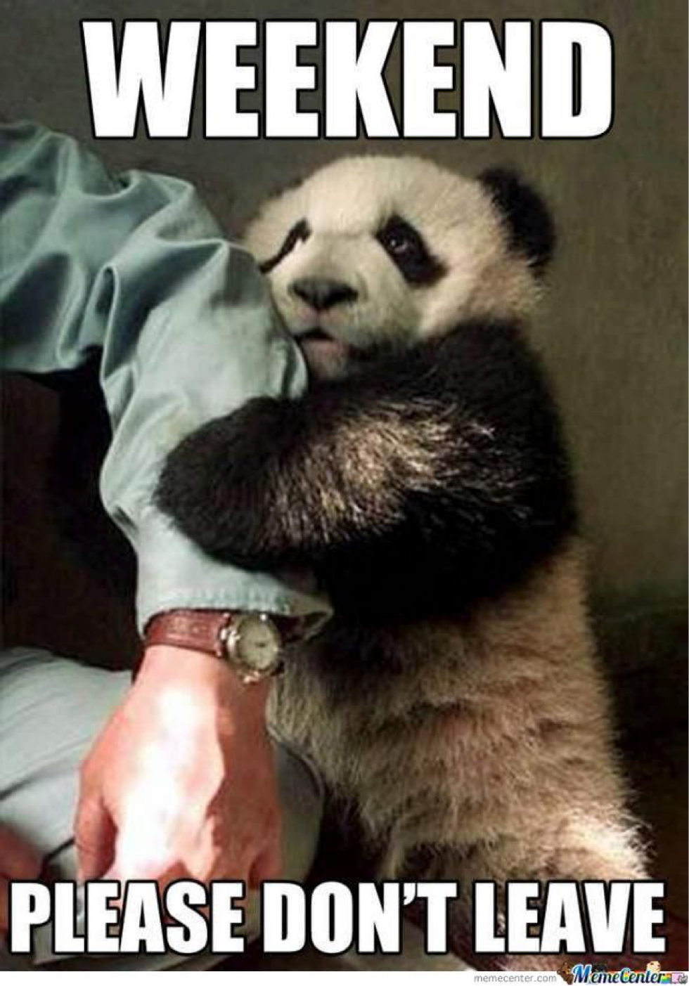 Panda meme about weekend being too short