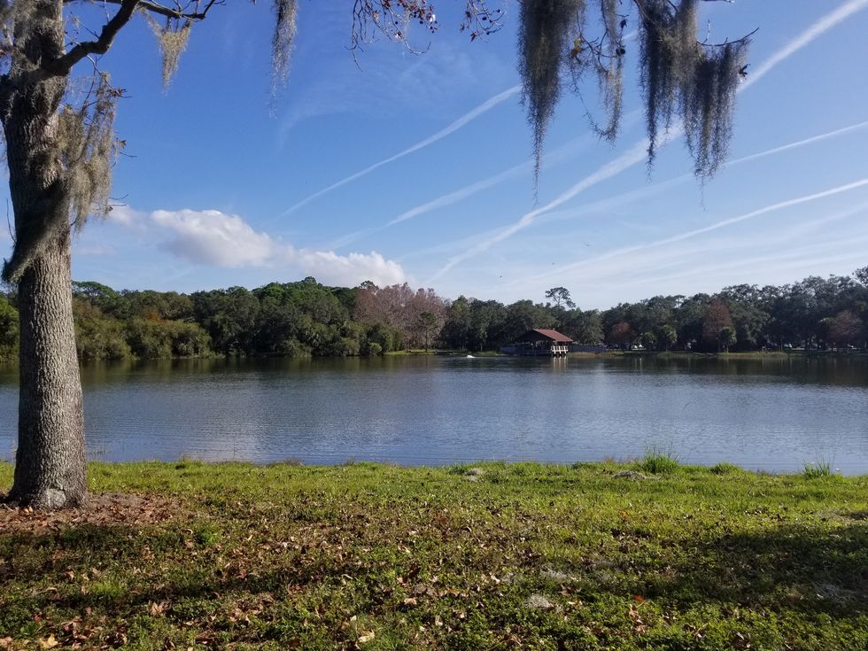 Park With Lake In Florida