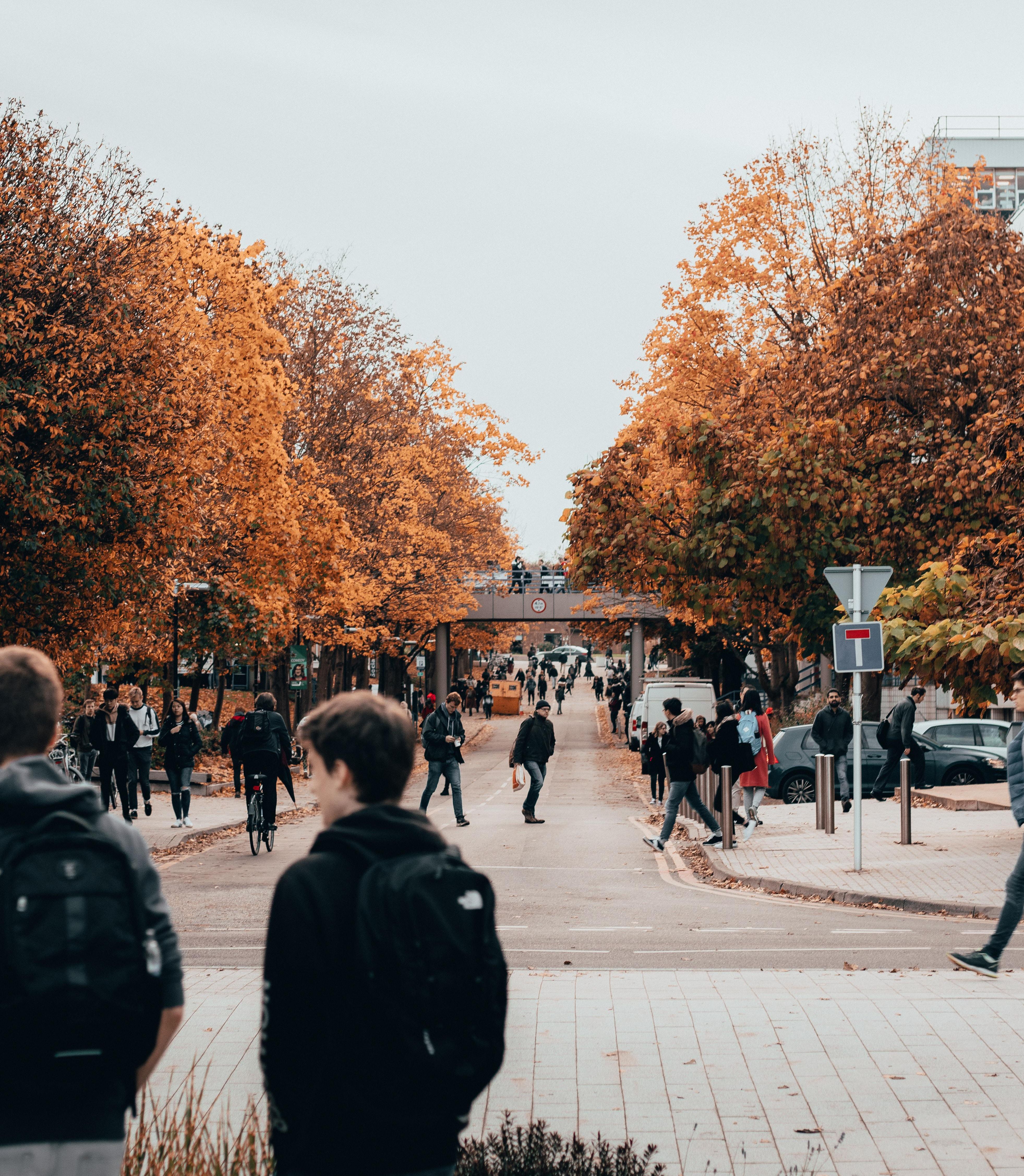 8 Questions to Ask Your Prospective College About Campus Safety