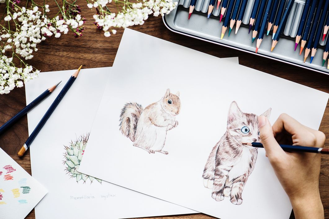 Person drawing a cat