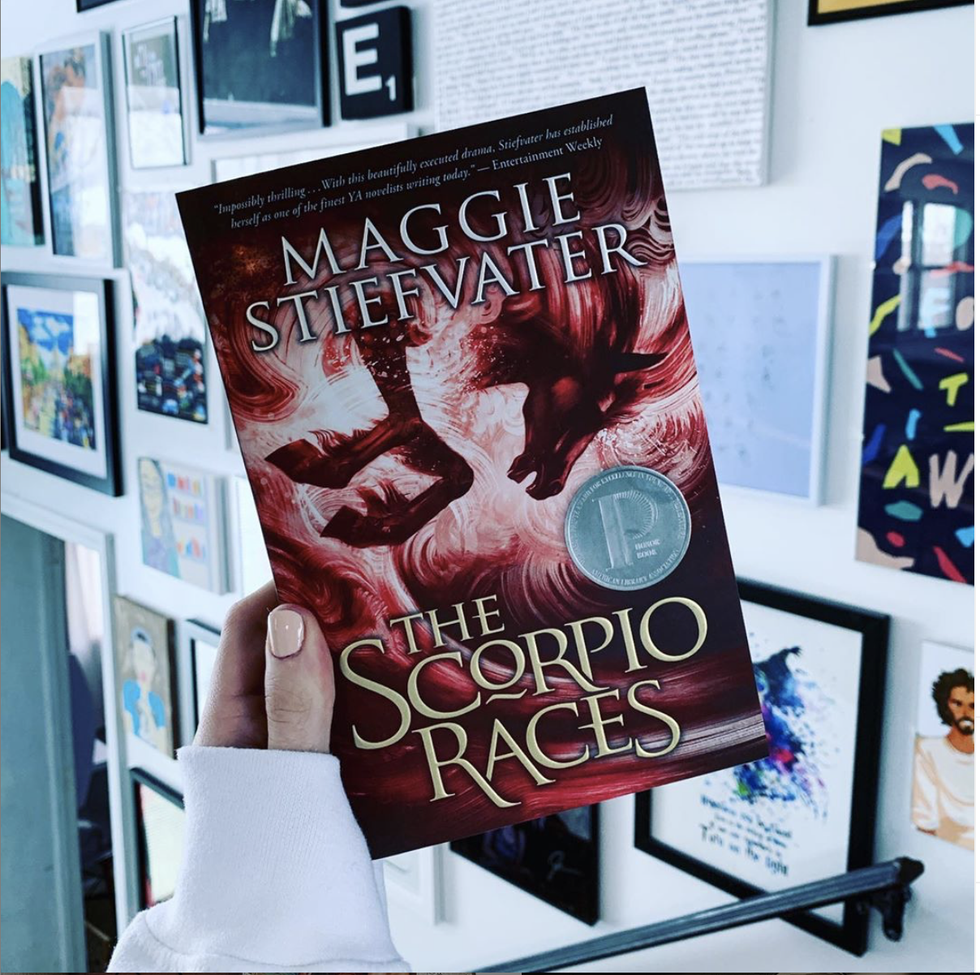 person holding up a book