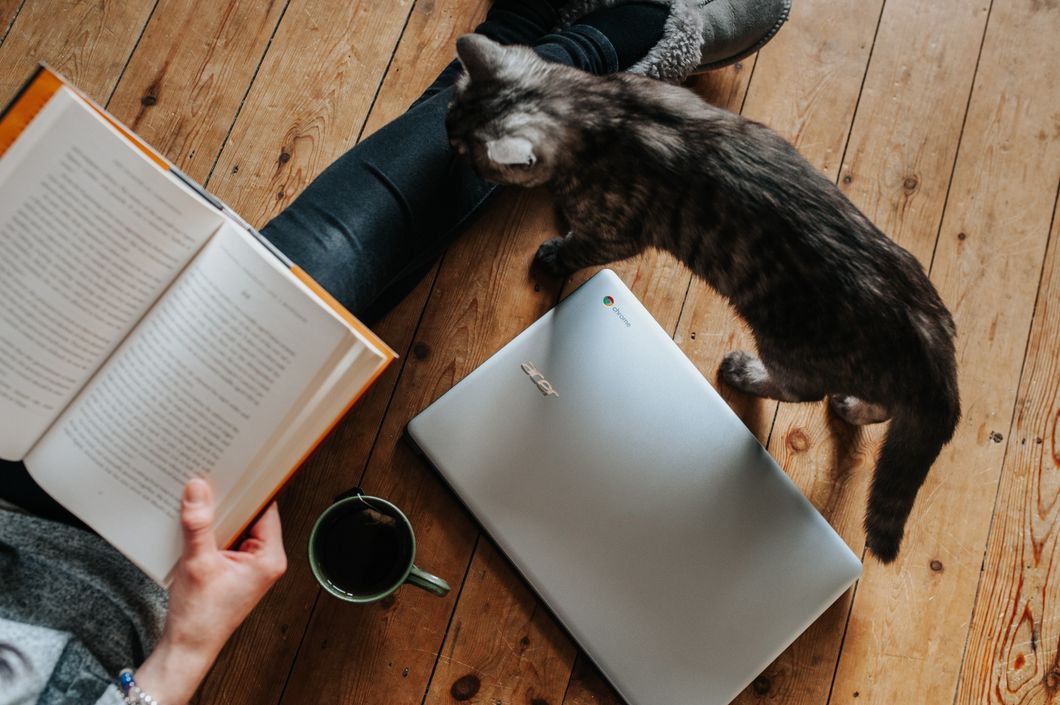 Person reading book and drinking coffee while kitten crawls over them
