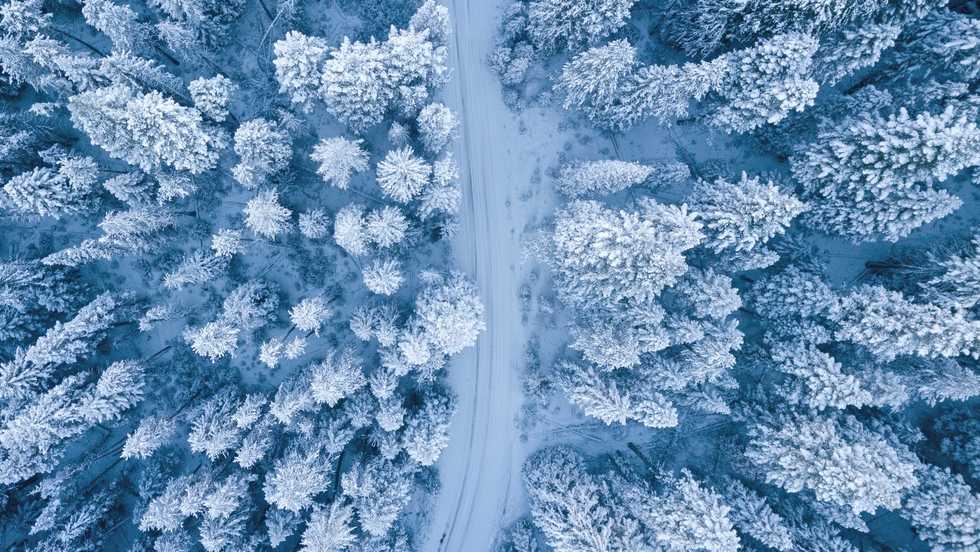 Winter's Trail