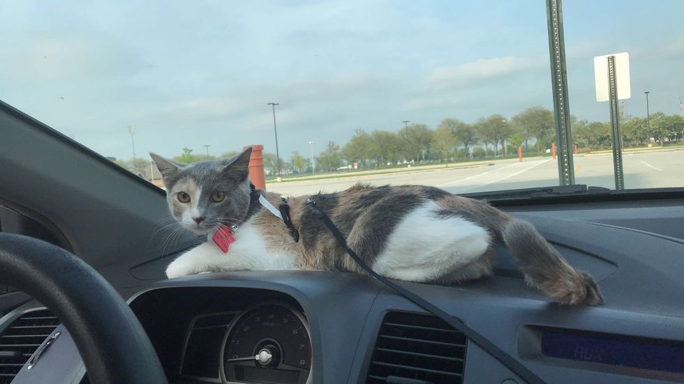 Photo by Ashley Lytle