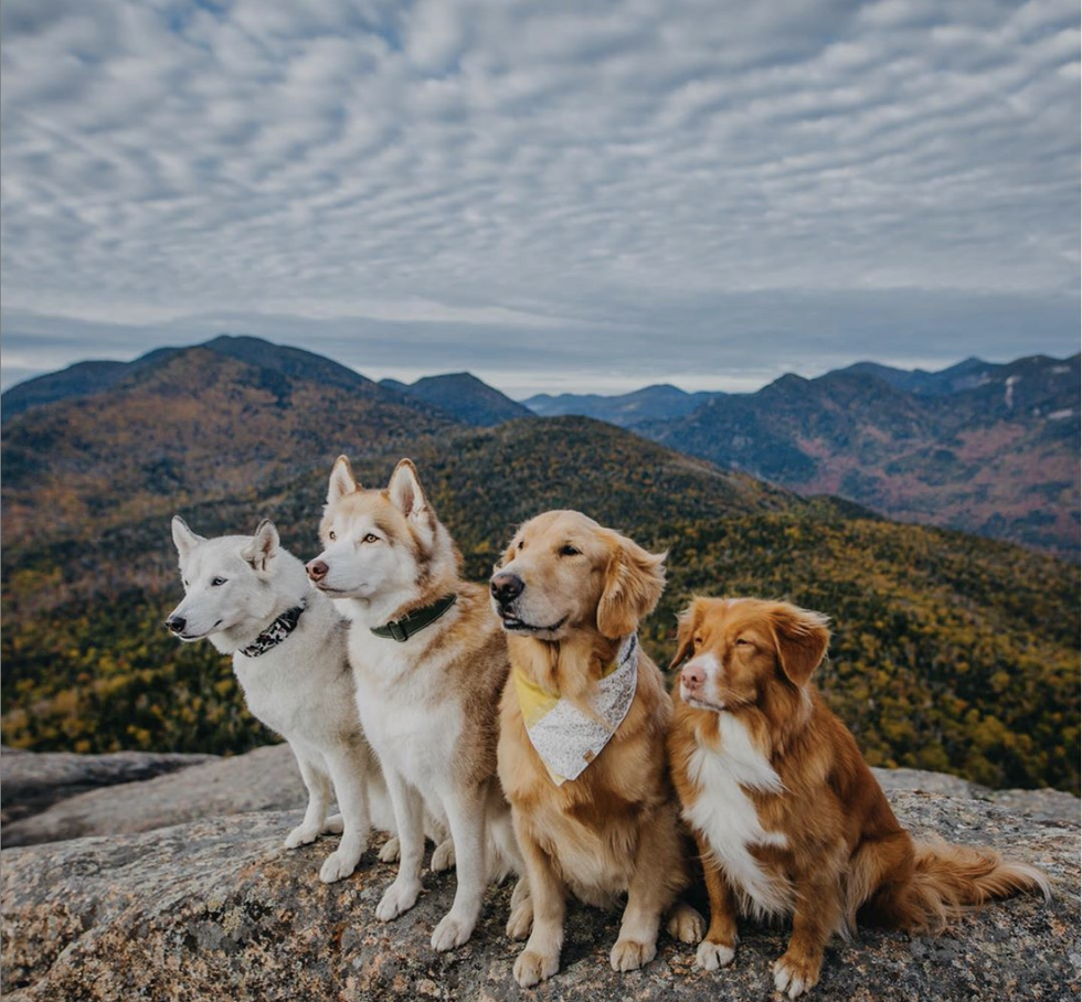 10 Things You Do If Your Dog Is Your Best Friend