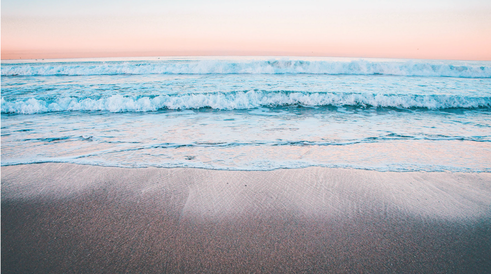 Photo by Marion Michele on Unsplash