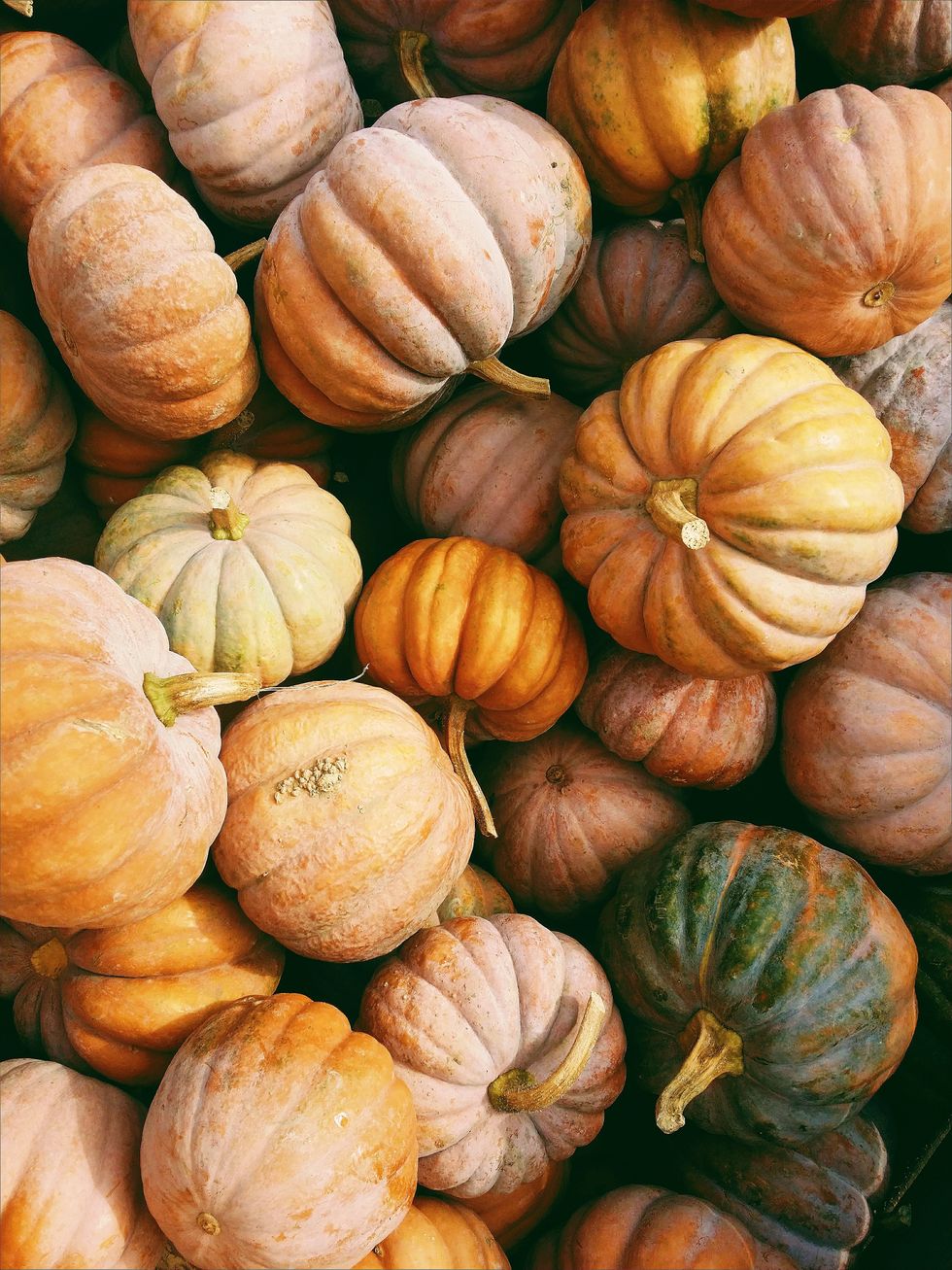 Fall Festivities That You Can Still Safely Enjoy This Year