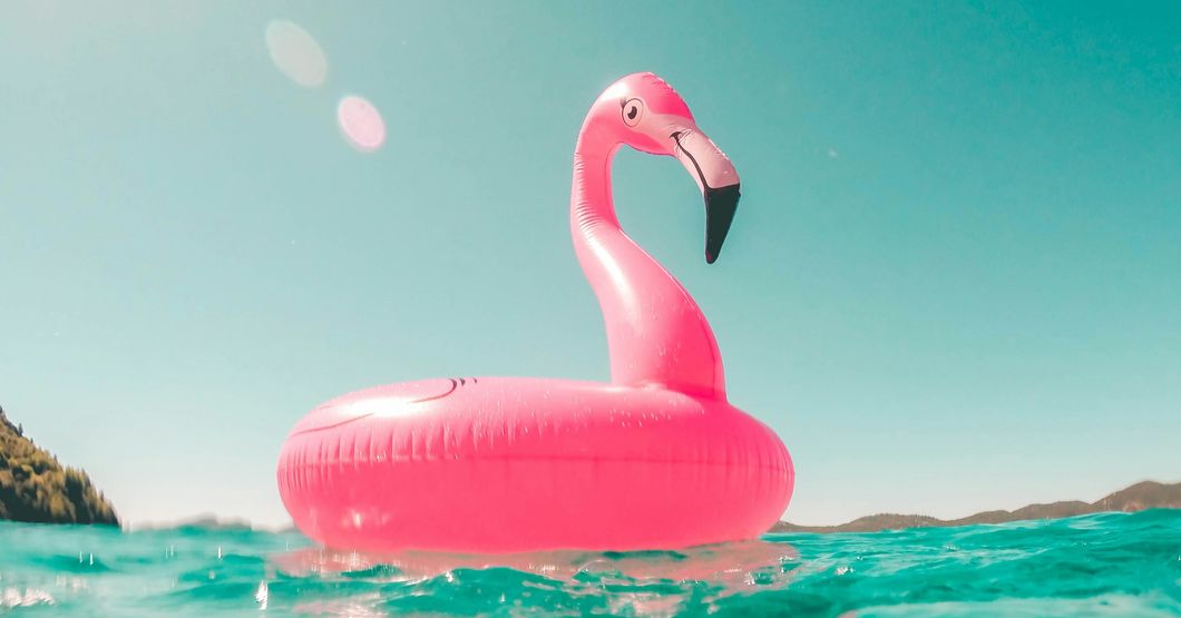 Pink rubber floating flamingo on water 