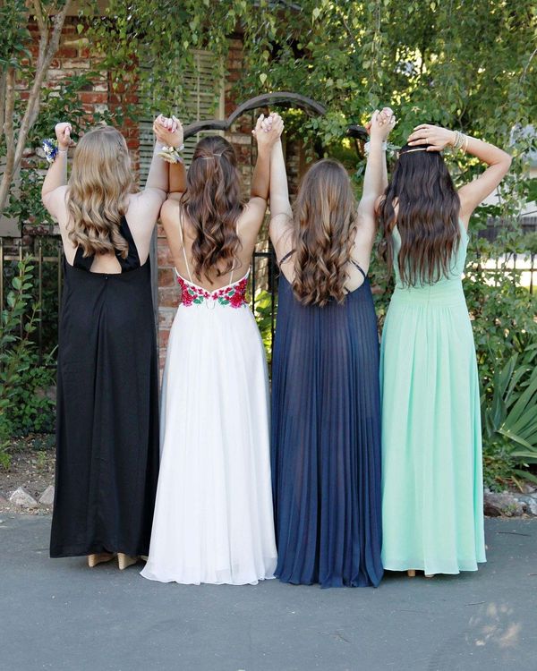 Diaries of the college Homecoming Queen