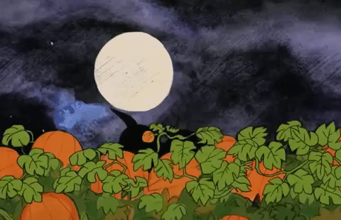 Pumpkin Patch from Charlie Brown
