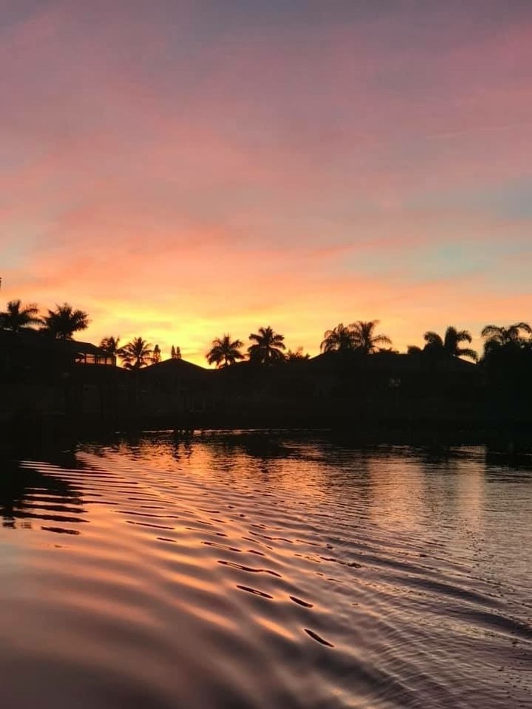 With A New Year Comes New Experiences, Hopefully