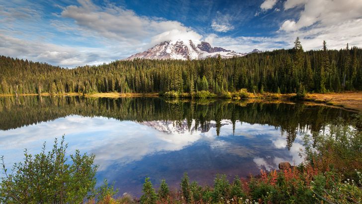 reflection of forest on lake