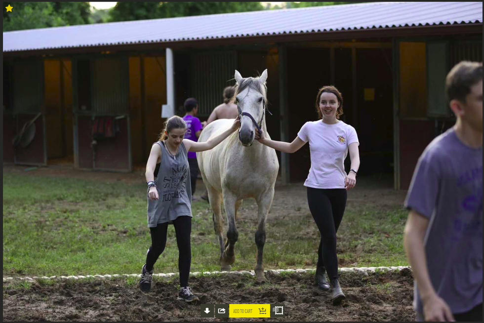 S.I.T. Year At Camp Barney Medintz Revealed To Me My Passion For Horseback
