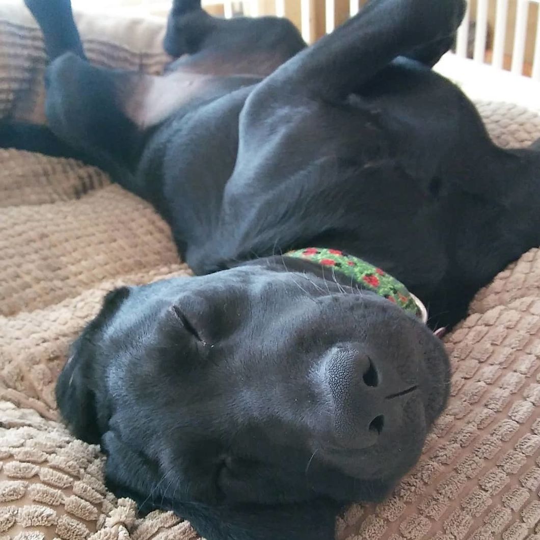 scontent-iad3-1.cdninstagram.com