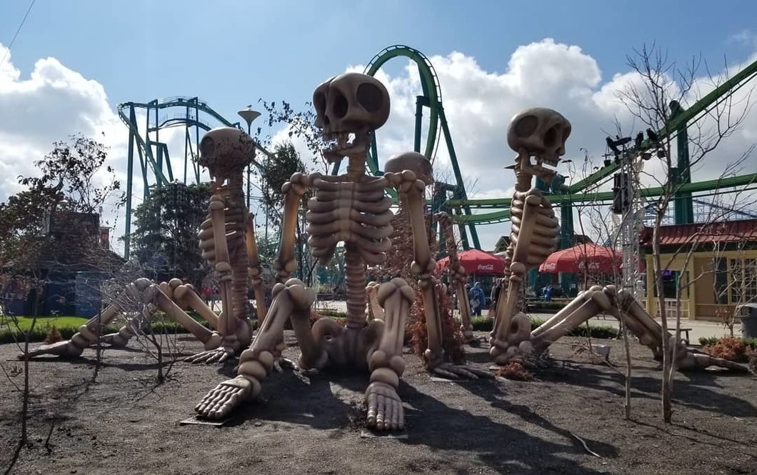 scontent-iad3-1.cdninstagram.com