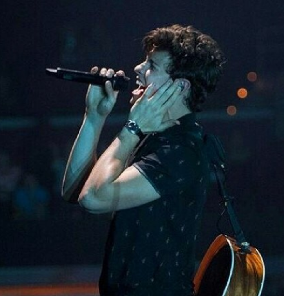 Shawn Mendes and Camila Cabello