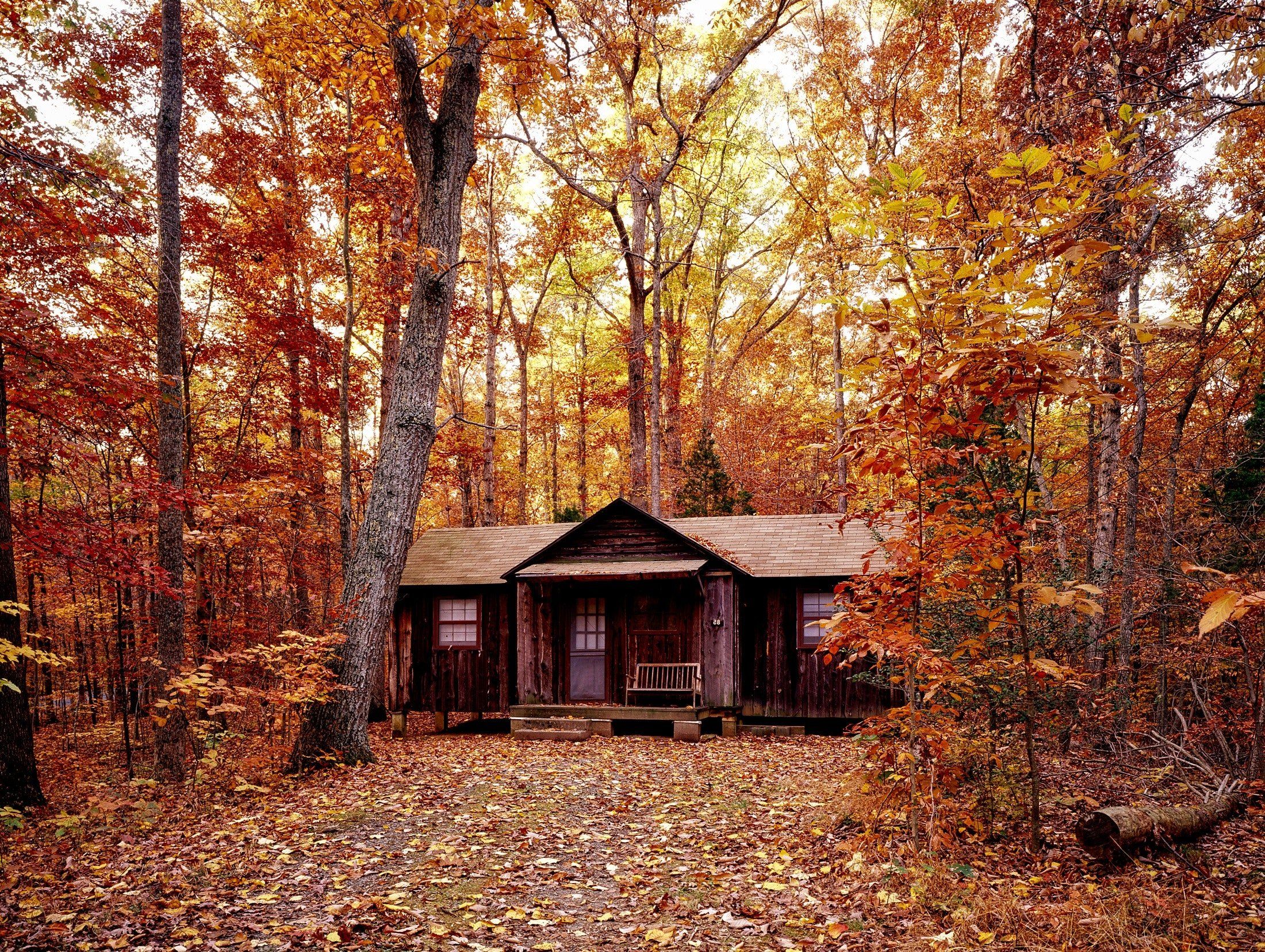 Autumn House