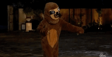 Sloth Girl Gif