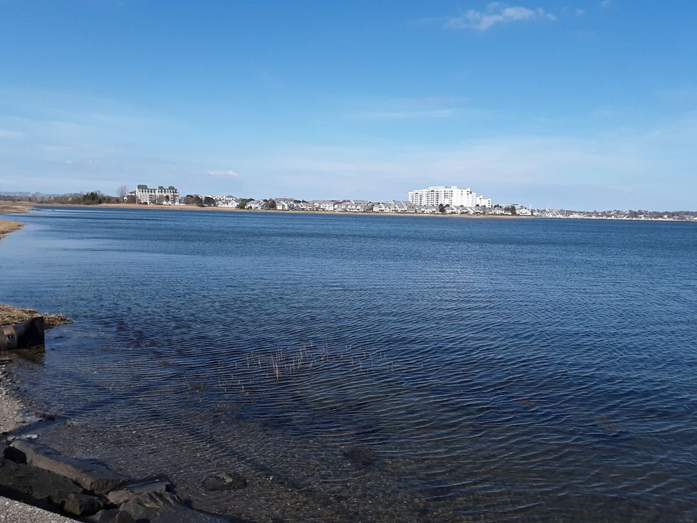 Coronavirus And The Horror Of A Home Town