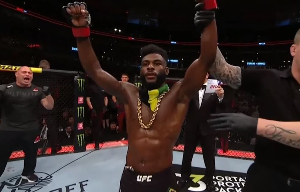 The Bantamweight Division Continues To Heat Up