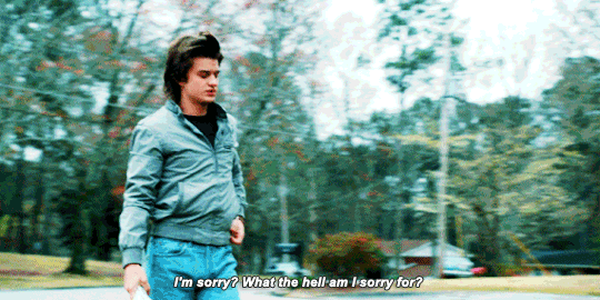 Steve Harrington gif
