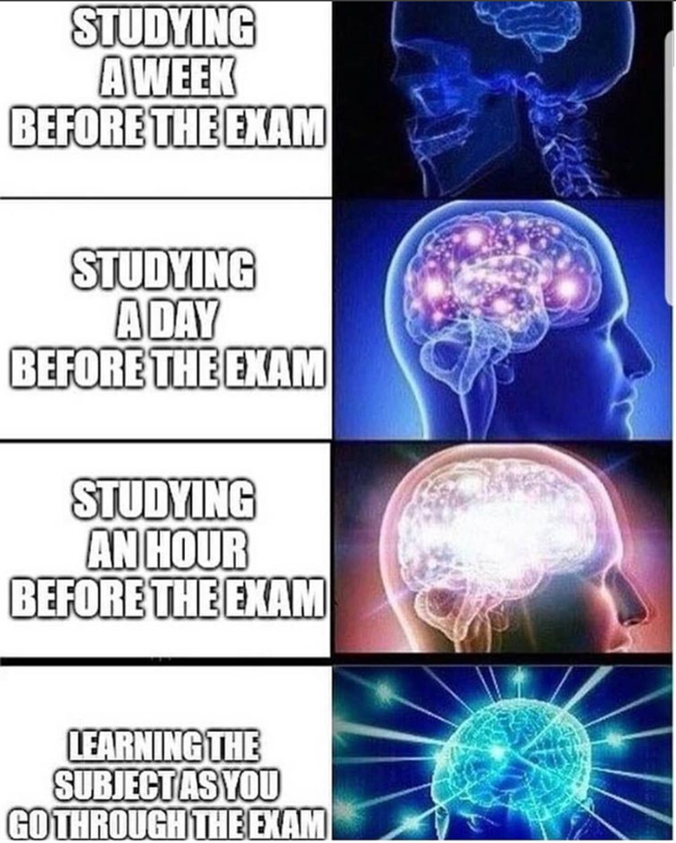 studying
