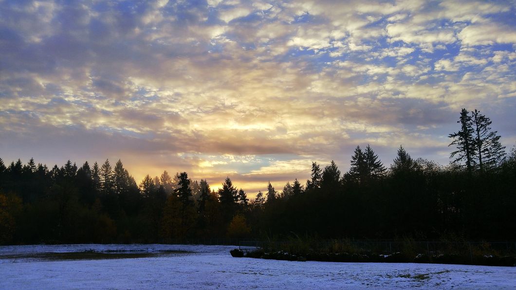 Poetry on Odyssey: A Change In Plans