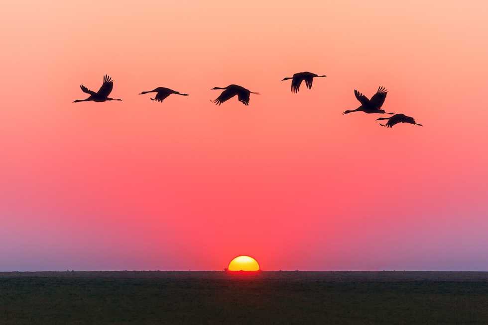 Sunrise