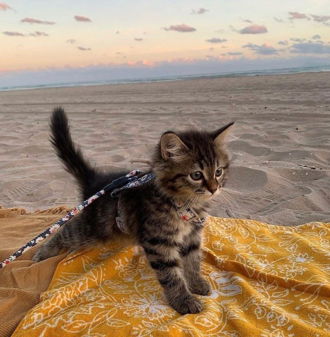 An Open Letter To My Former Guy Best Friend