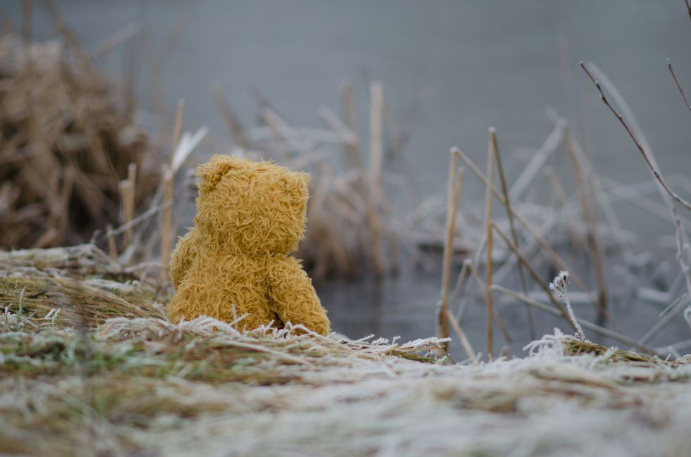 teddy bear sat on cold grass in front of water