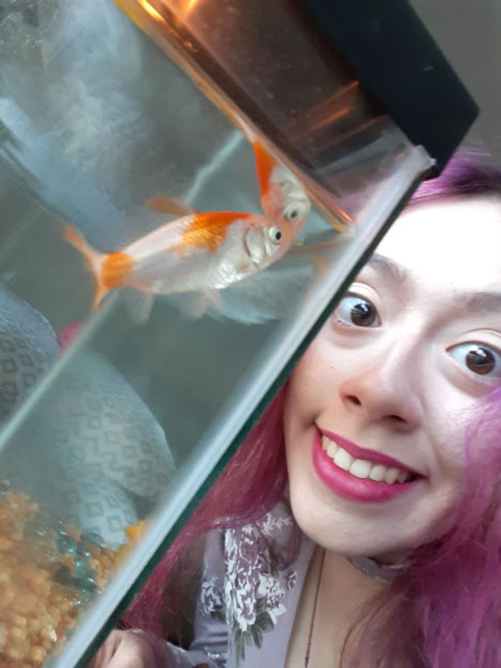 Fish Are Actually Really Awesome Pets, And You Should Get One To Live With You At College