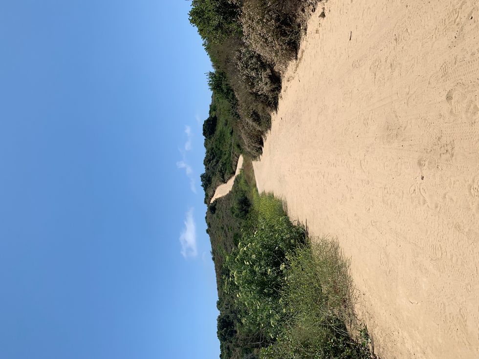 Accepting Acceptance