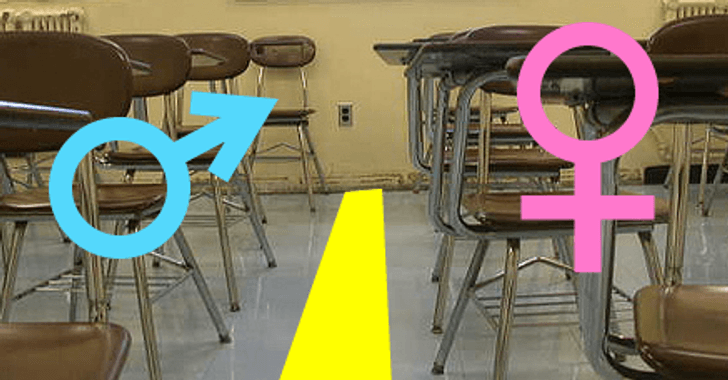 the female and male signs with a line dividing them