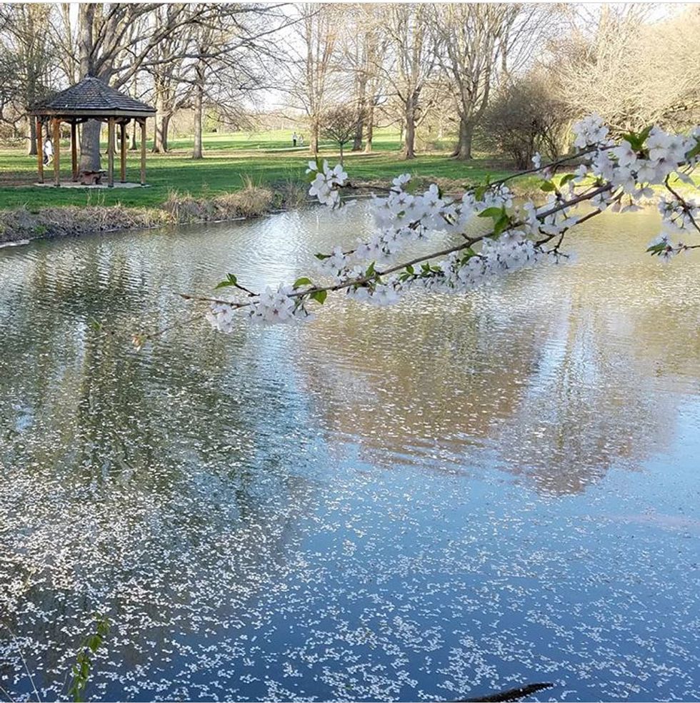 The Japan House at UIUC
